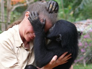 Pictured is anthropologist Frances White does research with wild bonobos.