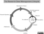The research data management lifecycle begins with a research question then continues through the search for data then developing a plan to manage, collect, describe, analyze and store data for archiving and publication.